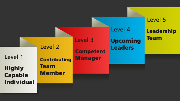 Different Levels That Perform Different Job Functions